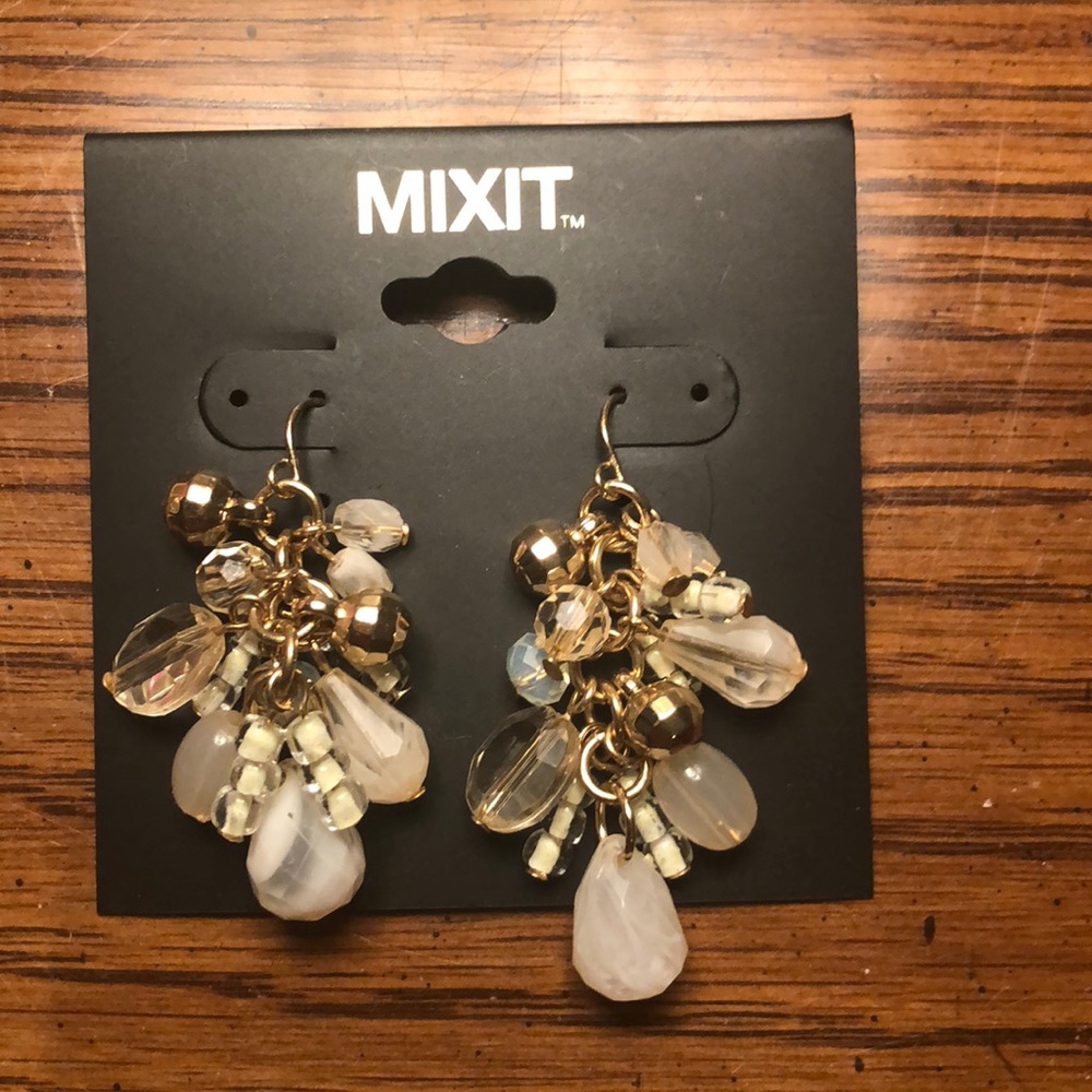 NWT earrings